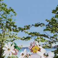 BE BEAUTY COSTA RICA