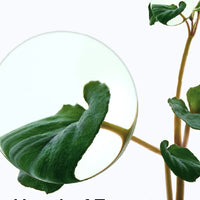 BE BEAUTY COSTA RICA