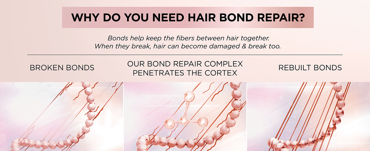 Loreal EverPure Tratamiento previo al champú sin sulfato Bond Repair