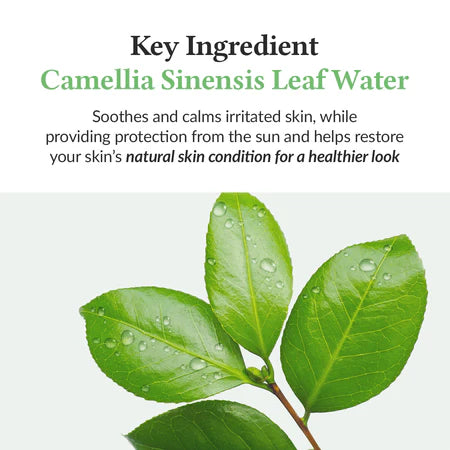 Dr.Althea Green Tea Fresh Sunscreen 45 ml