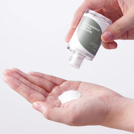 Isntree Limpiador facial -Mugwort Calming Powder Wash 15g