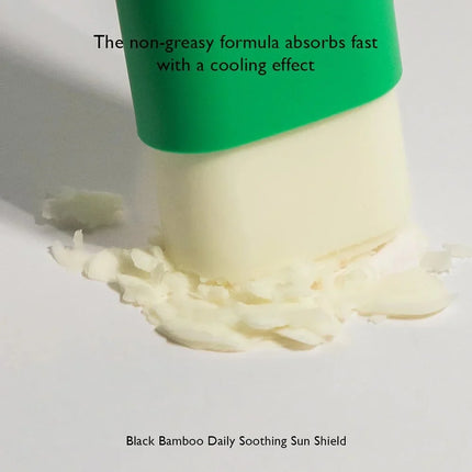 Haruharu Wonder Black Bamboo Daily Sunscreen Stick SPF50+/PA++++