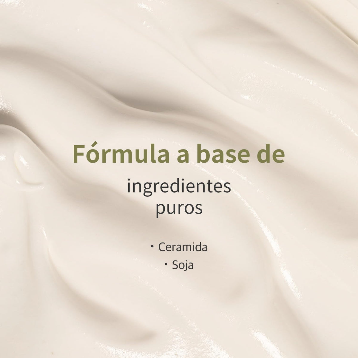 ROUND LAB Soybean Nourishing Cream 80ml