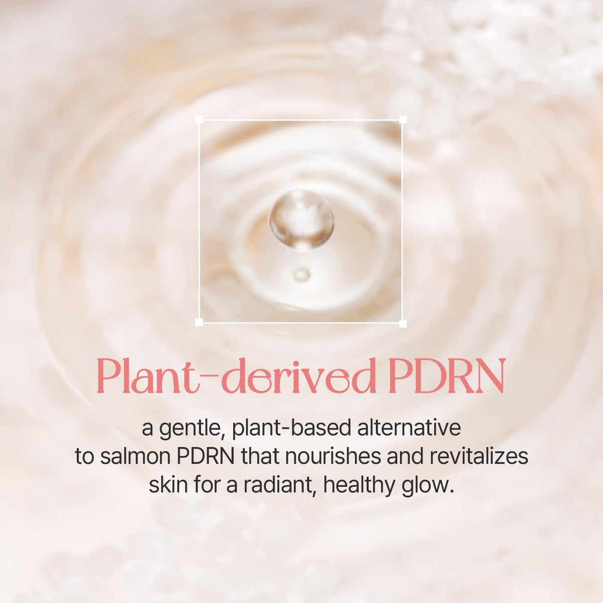 mixsoon PDRN Collagen Tinted Moisturizer – Base Hidratante con Color