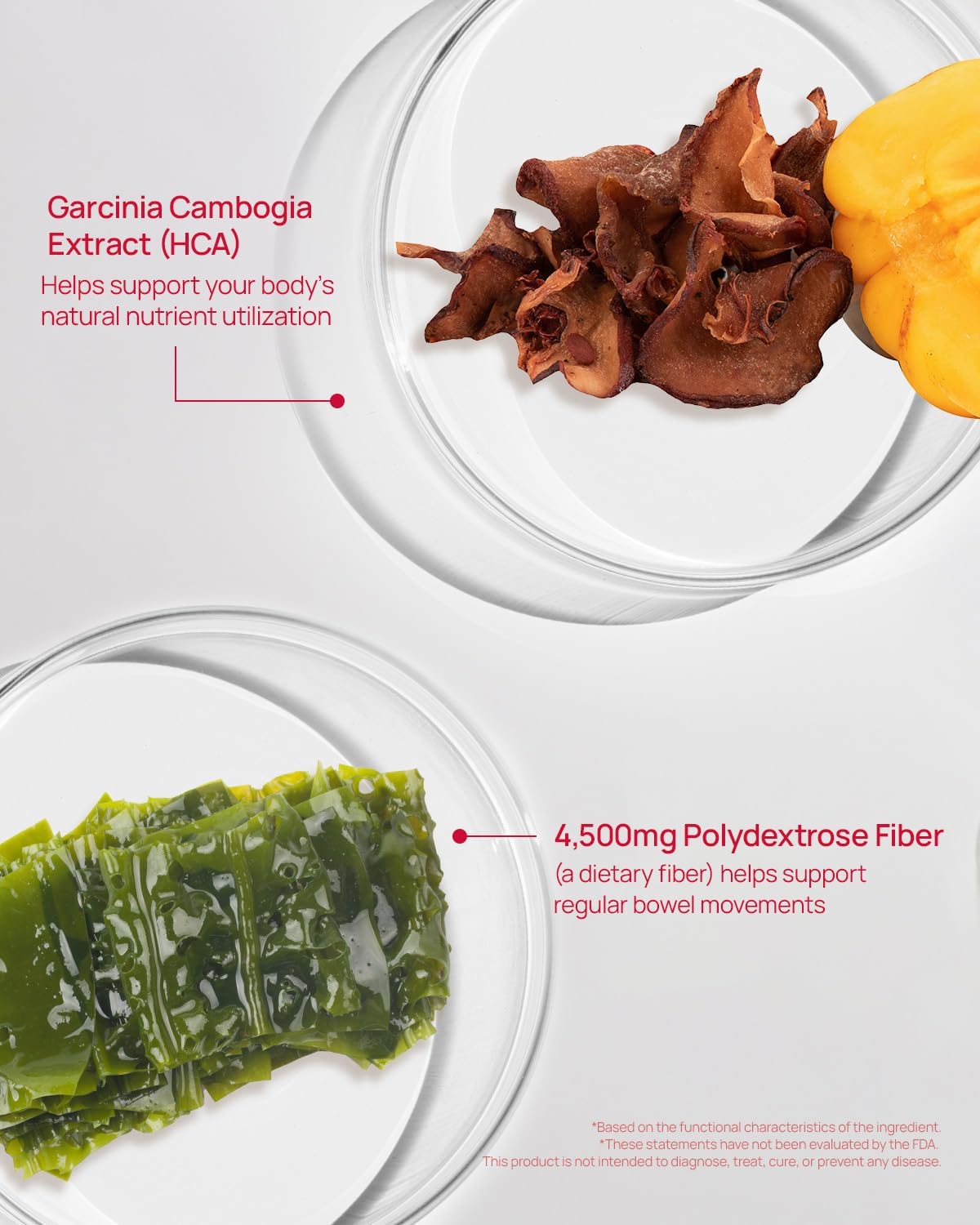 Foodology Coleology Bowel Movement Jelly (10 pouch)