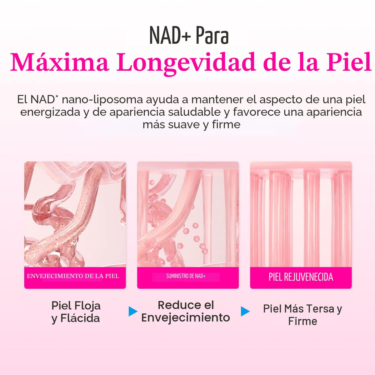 Eqqualberry NAD+ Peptide Cream – Crema Reafirmante e Hidratante 50ml