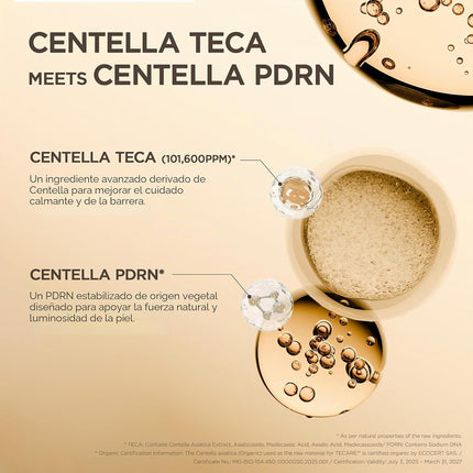 SKIN1004 Madagascar Centella TECA Ampolla, suero facial coreano para equilibrio de aceite y soporte de barrera TECA y PDRN 50ml