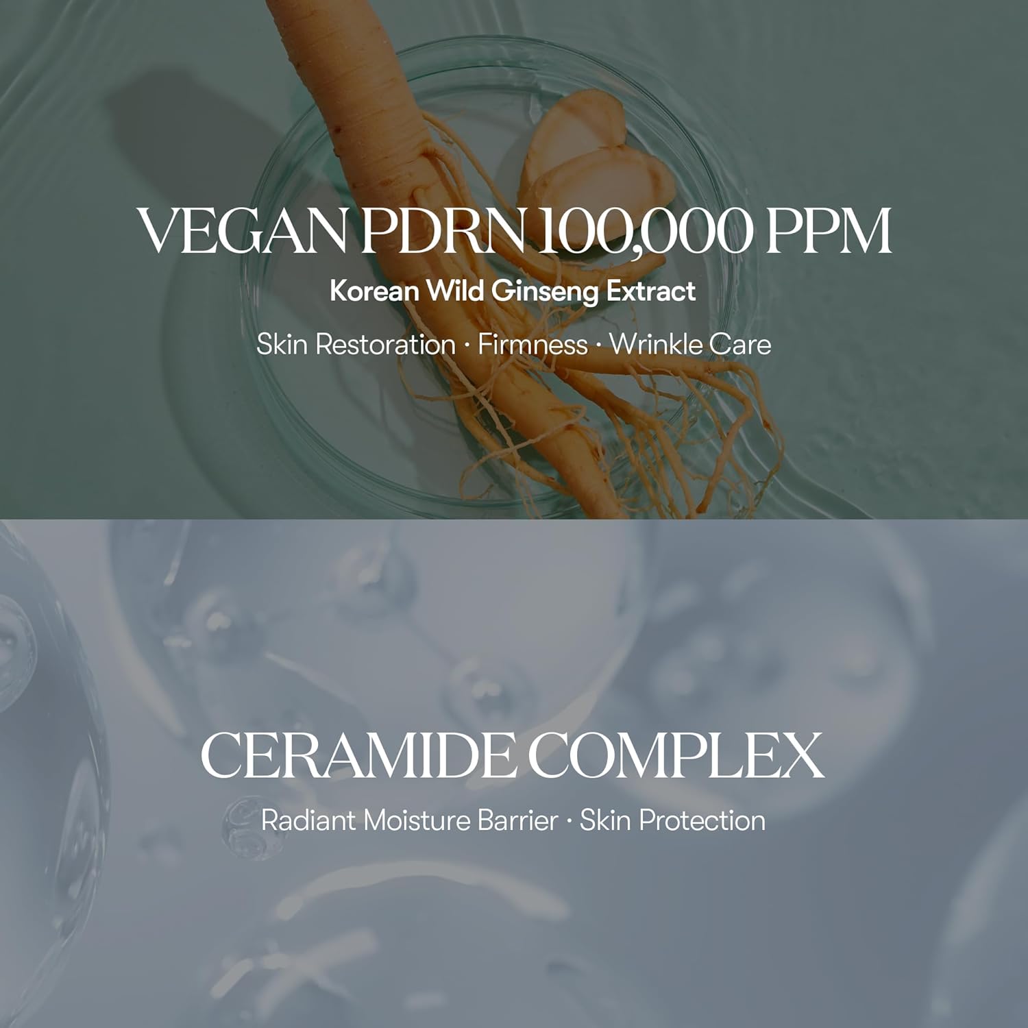 VT PDRN Essence 100 – Reafirma, Regenera e Ilumina tu Piel