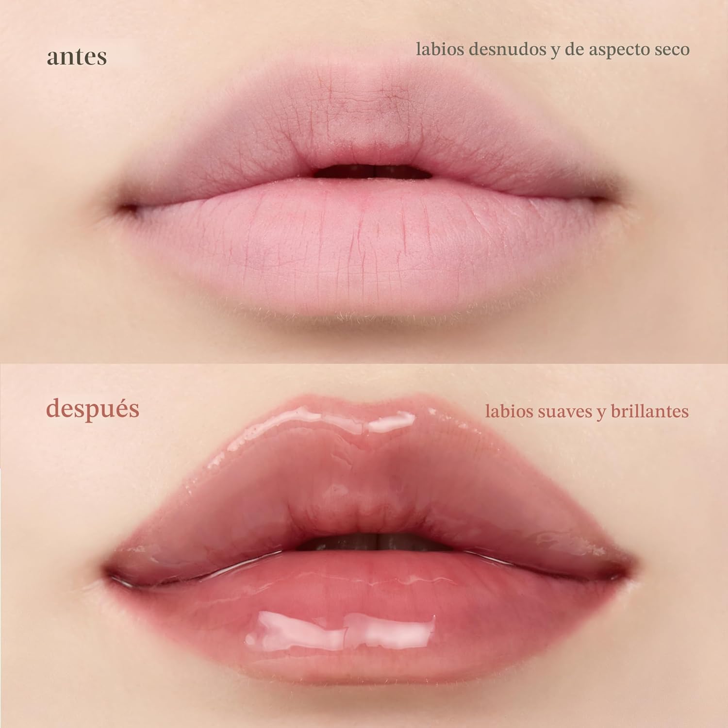 nooni Appleginseng Lip Oil