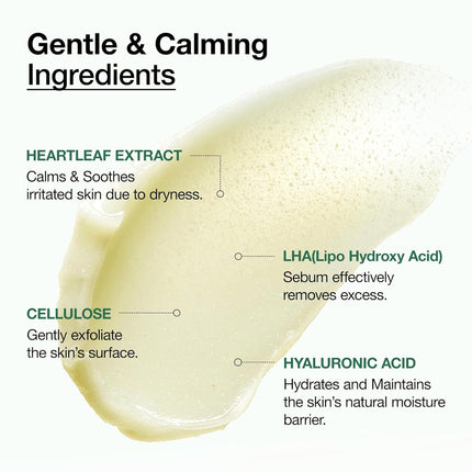 ANUA Heartleaf LHA Moisture Peeling Gel Gentle Exfoliation
