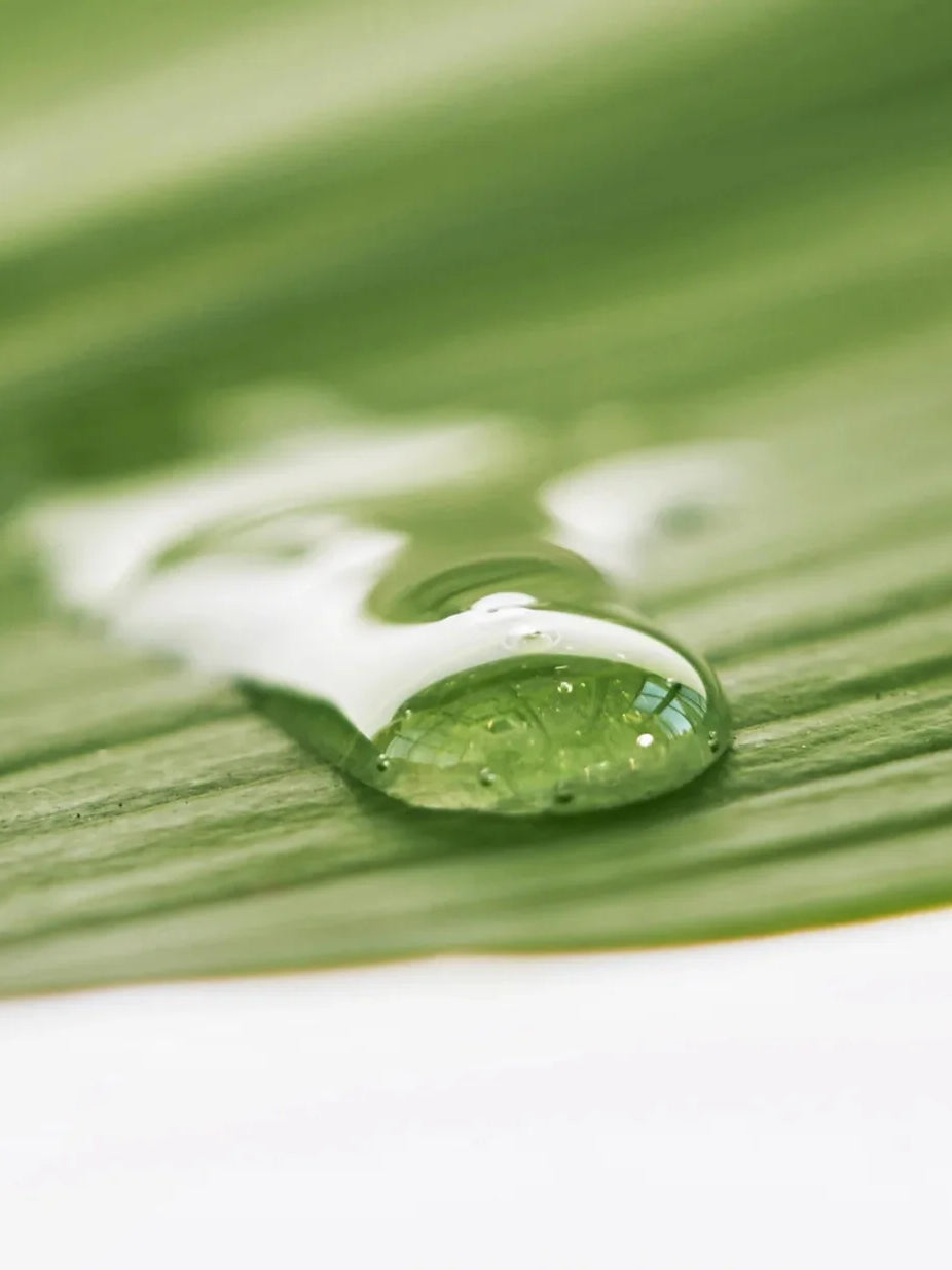 BE BEAUTY COSTA RICA