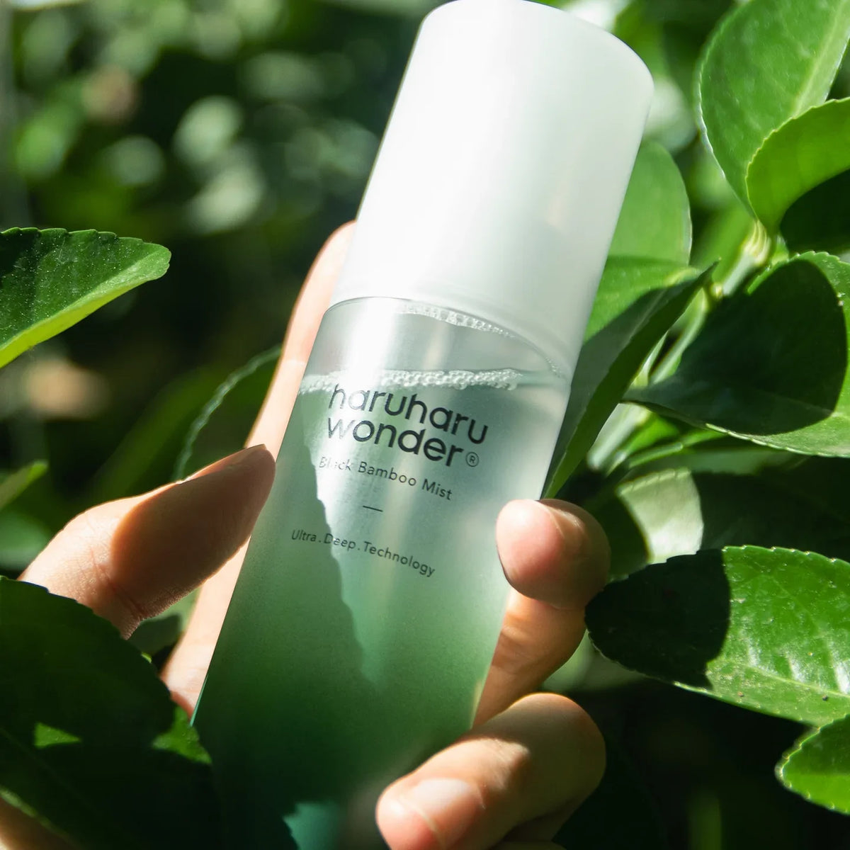 Haru haru Wonder Black Bamboo Mist 150ml