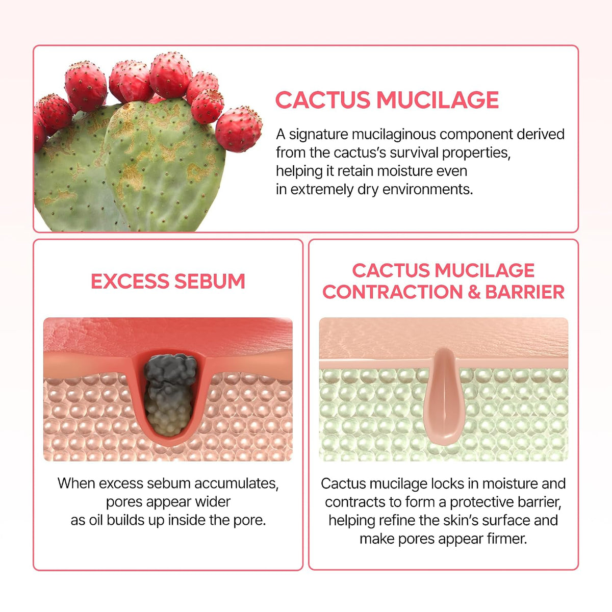 Dr.Melaxin CACTOX Pore Relief Dual Capsule Cream – 65 g
