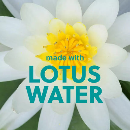 Exfoliante Lotus water Shea-Tree Hut 510g