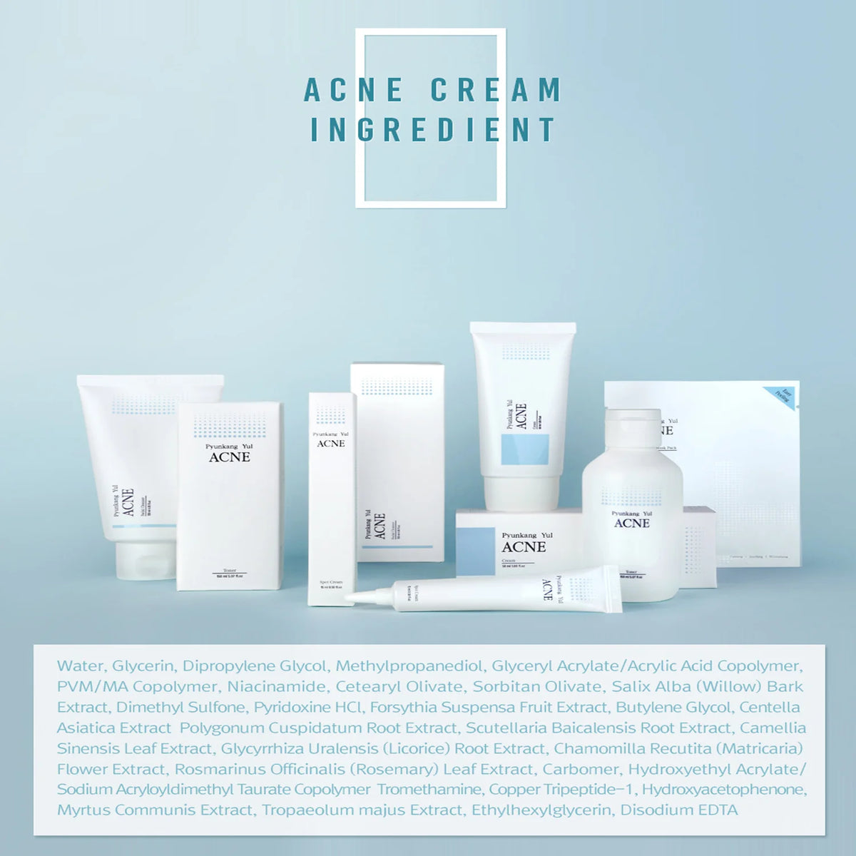 Pyunkang Yul ACNE Limpiador facial 120ml