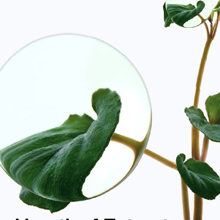 Anua Heartleaf 80% Ampolla Calmante de Humedad 30ml