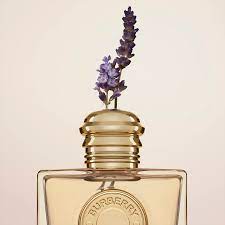 Burberry Goddes EDP Mini 5ml GWP