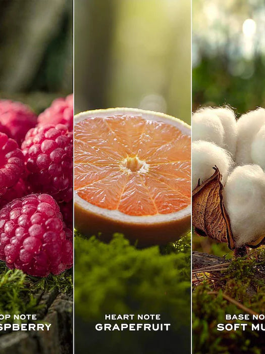 BE BEAUTY COSTA RICA