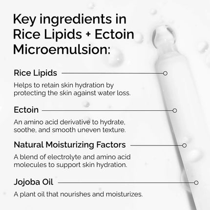 The ordinary Rice Lipids + Ectoin Microemulsion Moisturizer for Soothing Hydration & Reduced Redness 60ml