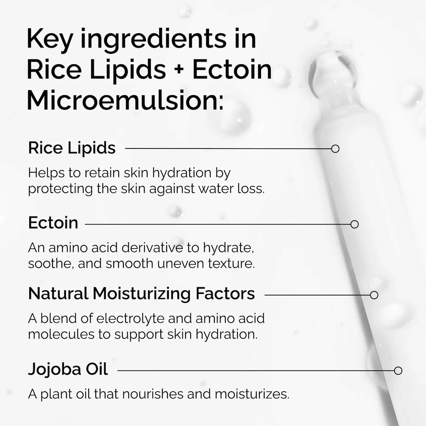 The ordinary Rice Lipids + Ectoin Microemulsion Moisturizer for Soothing Hydration & Reduced Redness 60ml