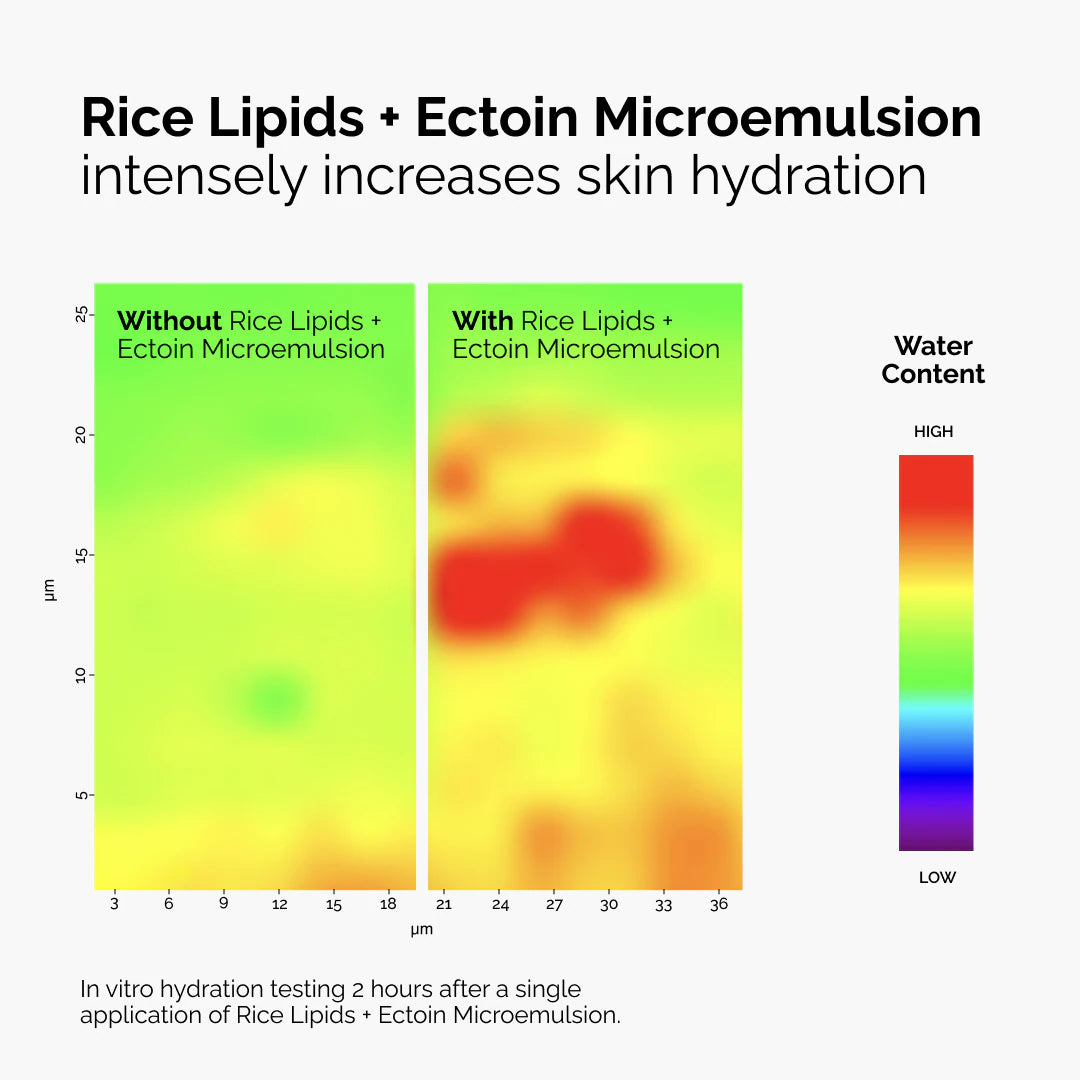 The ordinary Rice Lipids + Ectoin Microemulsion Moisturizer for Soothing Hydration & Reduced Redness 60ml